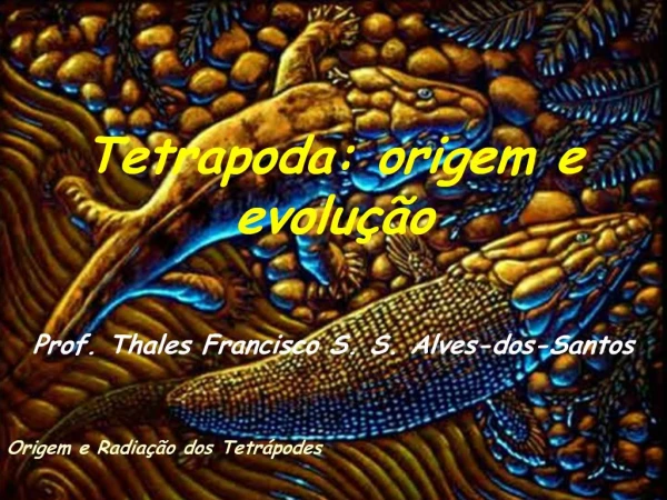 Tetrapoda: origem e evolu o Prof. Thales Francisco S. S. Alves-dos-Santos Origem e Radia o dos Tetr podes