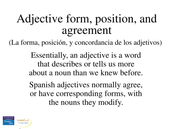 Adjective form, position, and agreement