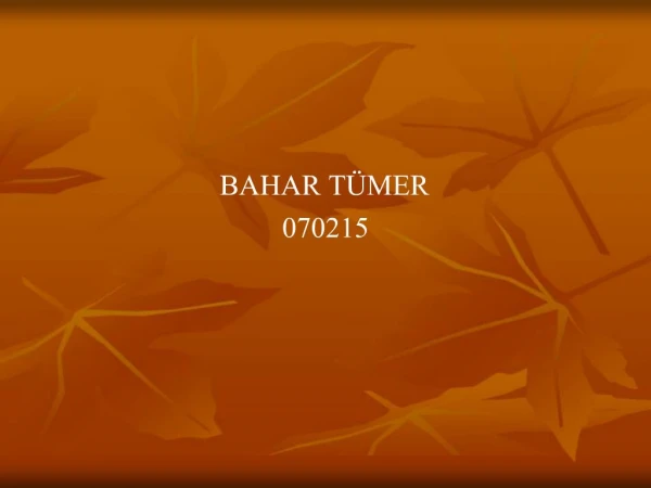 BAHAR T MER 070215