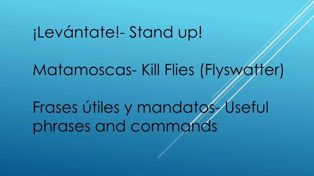 lev ntate stand up matamoscas kill flies