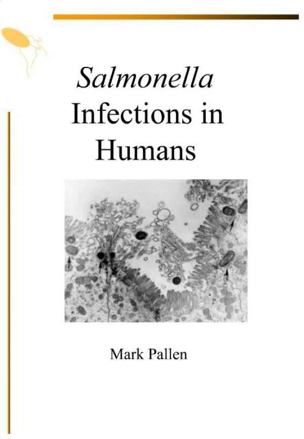 Salmonella Infections in Humans