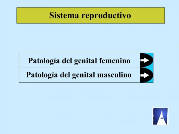 Sistema reproductivo