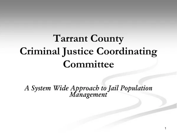 Tarrant County Criminal Justice Coordinating Committee A System Wide Approach to Jail Population Management