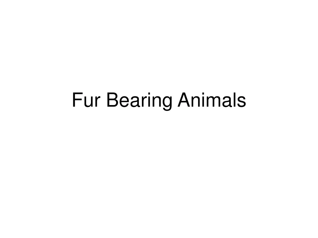 fur bearing animals