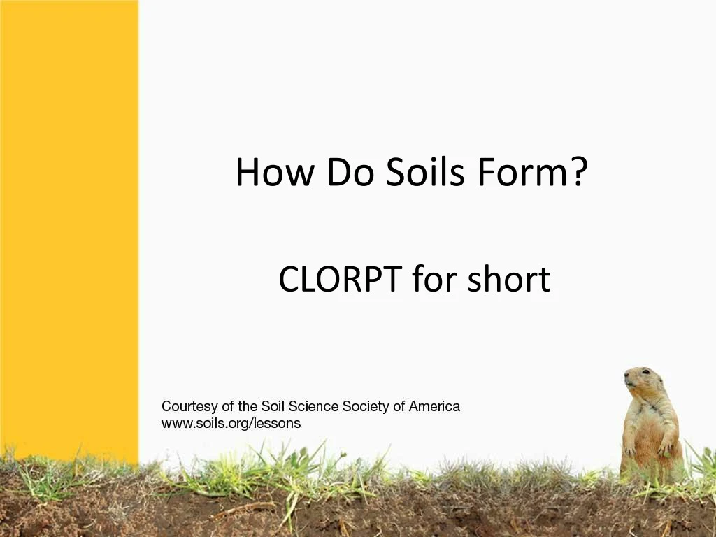 how do soils form