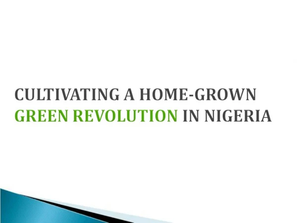 CULTIVATING A HOME-GROWN GREEN REVOLUTION IN NIGERIA