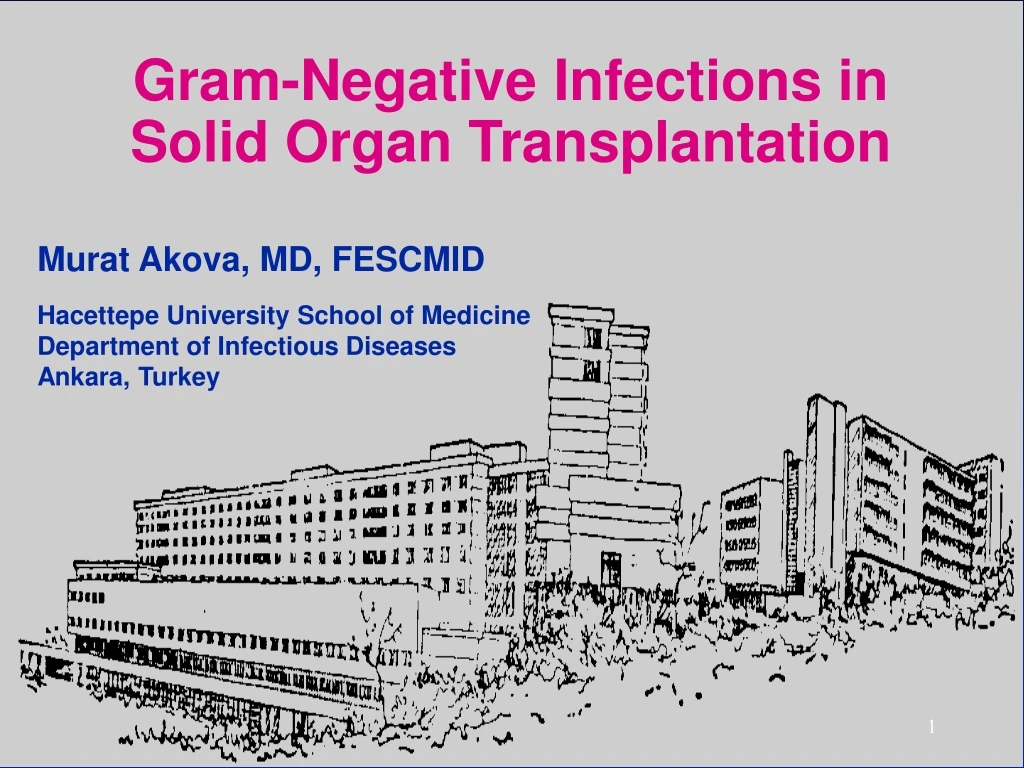 gram negative infections in solid organ