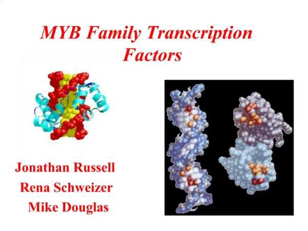 MYB Family Transcription Factors