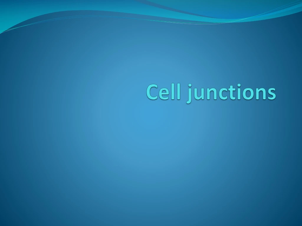 cell junctions