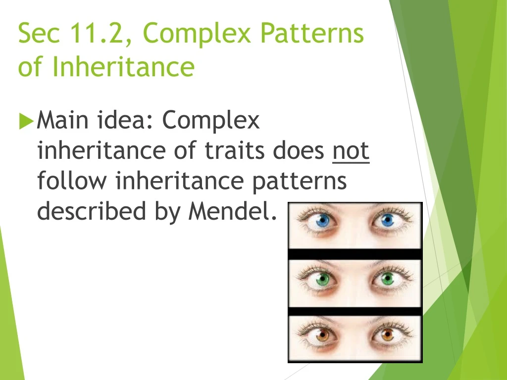 sec 11 2 complex patterns of inheritance