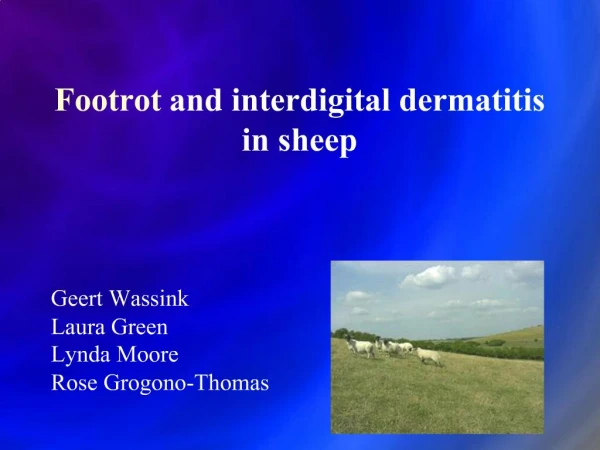 Footrot and interdigital dermatitis in sheep