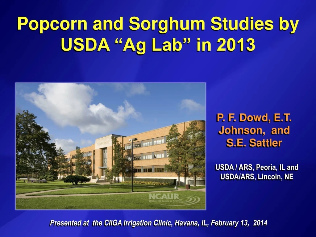 popcorn and sorghum studies by usda ag lab in 2013
