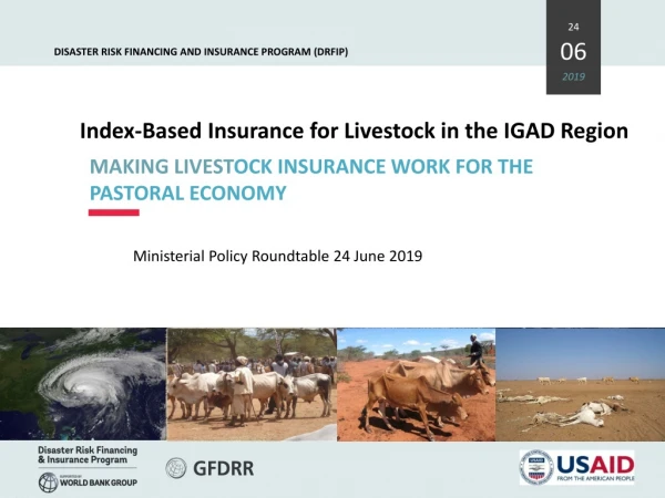 Index-Based Insurance for Livestock in the IGAD Region