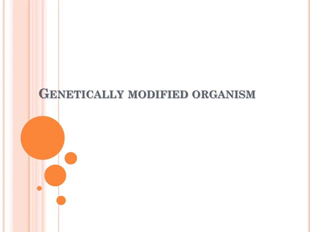 genetically modified organism