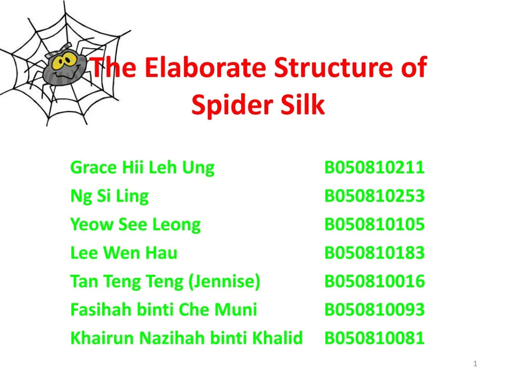 the elaborate structure of spider silk