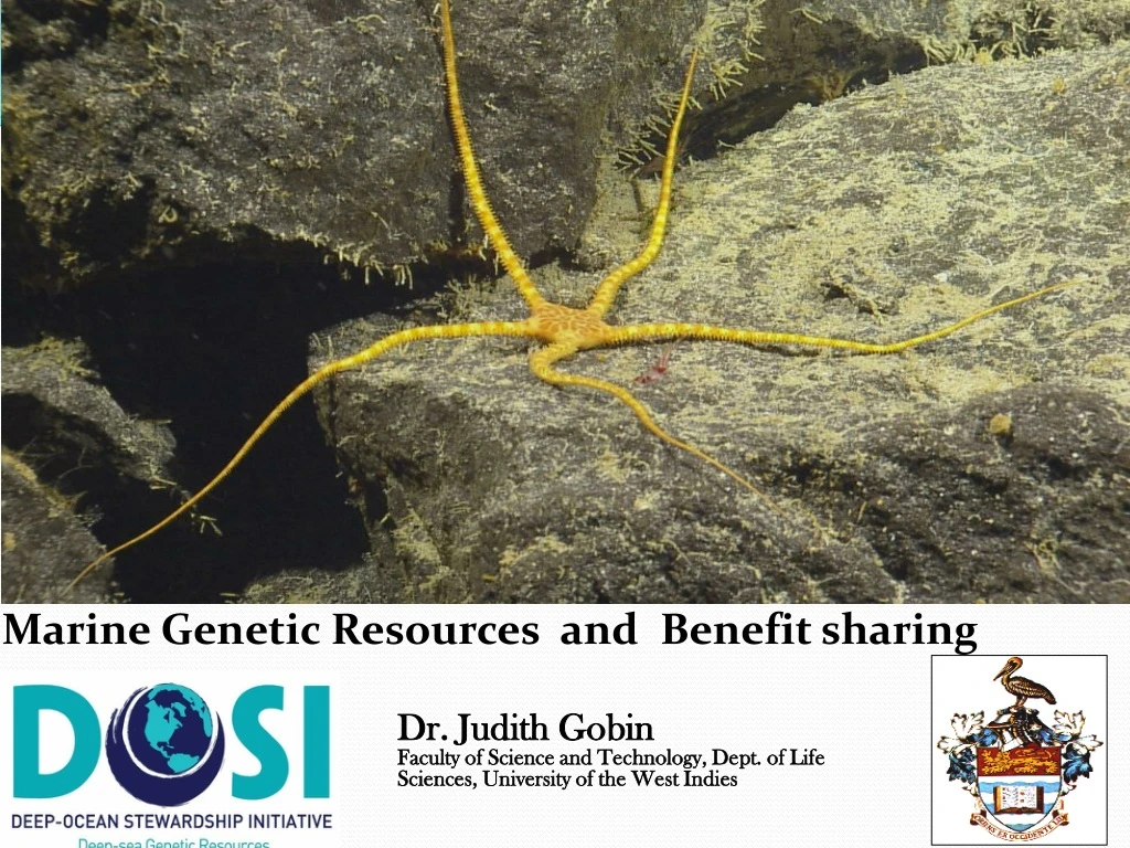 marine genetic resources and benefit sharing