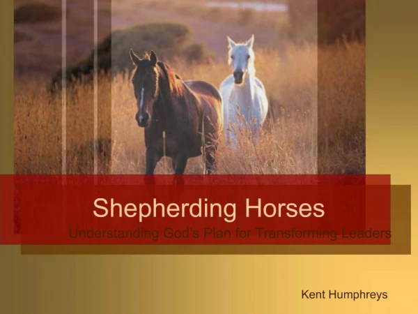 Shepherding Horses