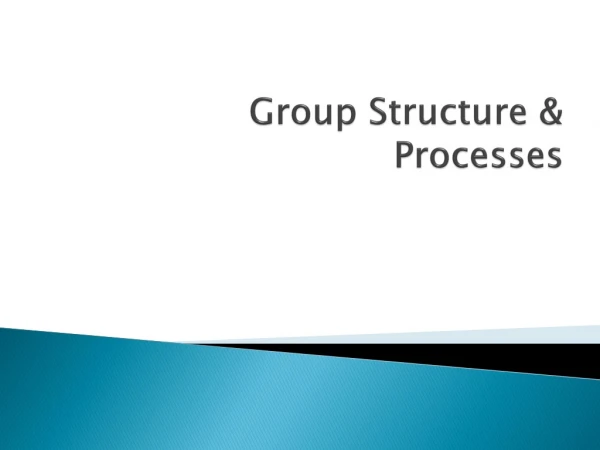Group Structure &amp; Processes