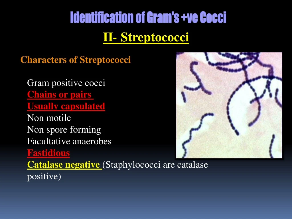 ii streptococci