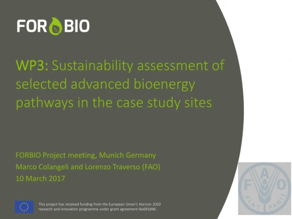 WP3: Sustainability assessment of selected advanced bioenergy pathways in the case study sites