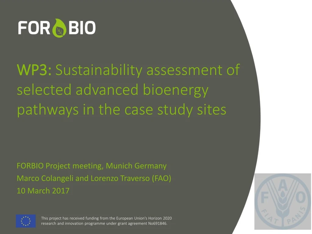 wp3 sustainability assessment of selected advanced bioenergy pathways in the case study sites