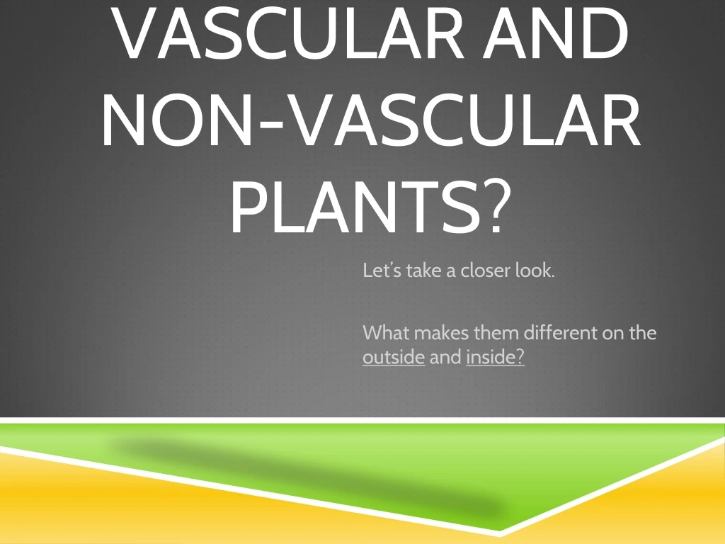 vascular and non vascular plants