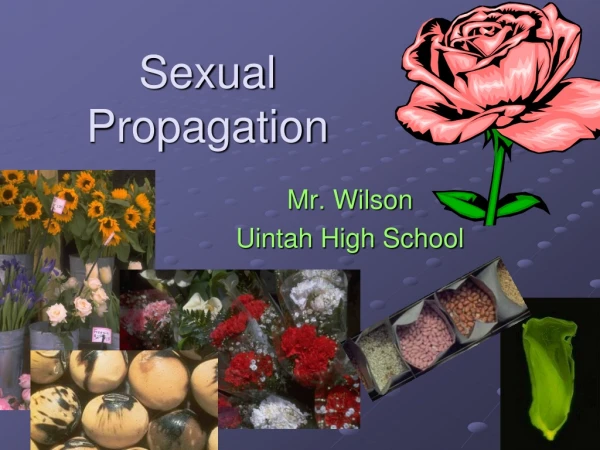 Sexual Propagation