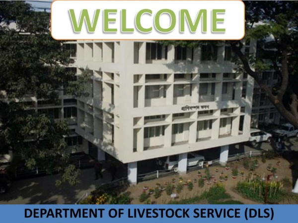DEPARTMENT OF LIVESTOCK SERVICE (DLS)