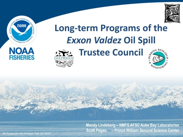 Long-term Programs of the Exxon Valdez Oil Spill Trustee Council