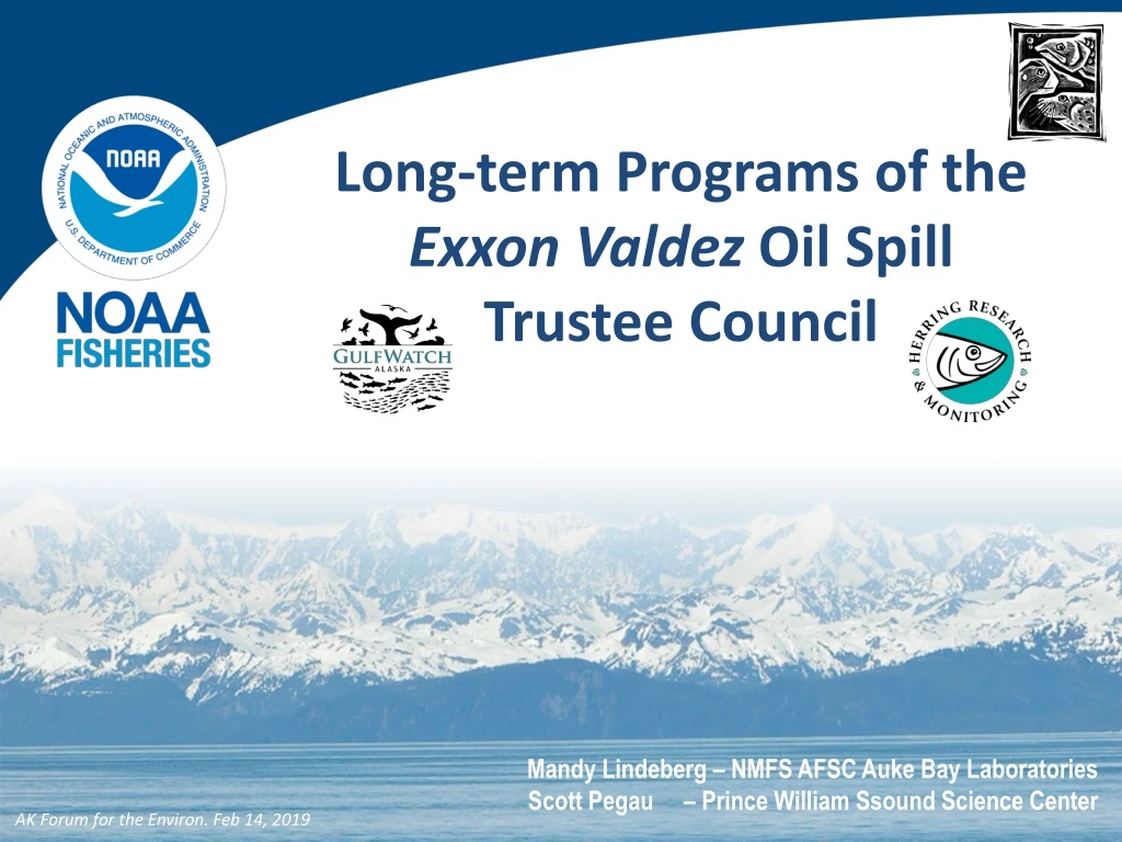 long term programs of the exxon valdez oil spill
