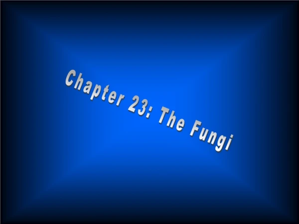 Chapter 23: The Fungi