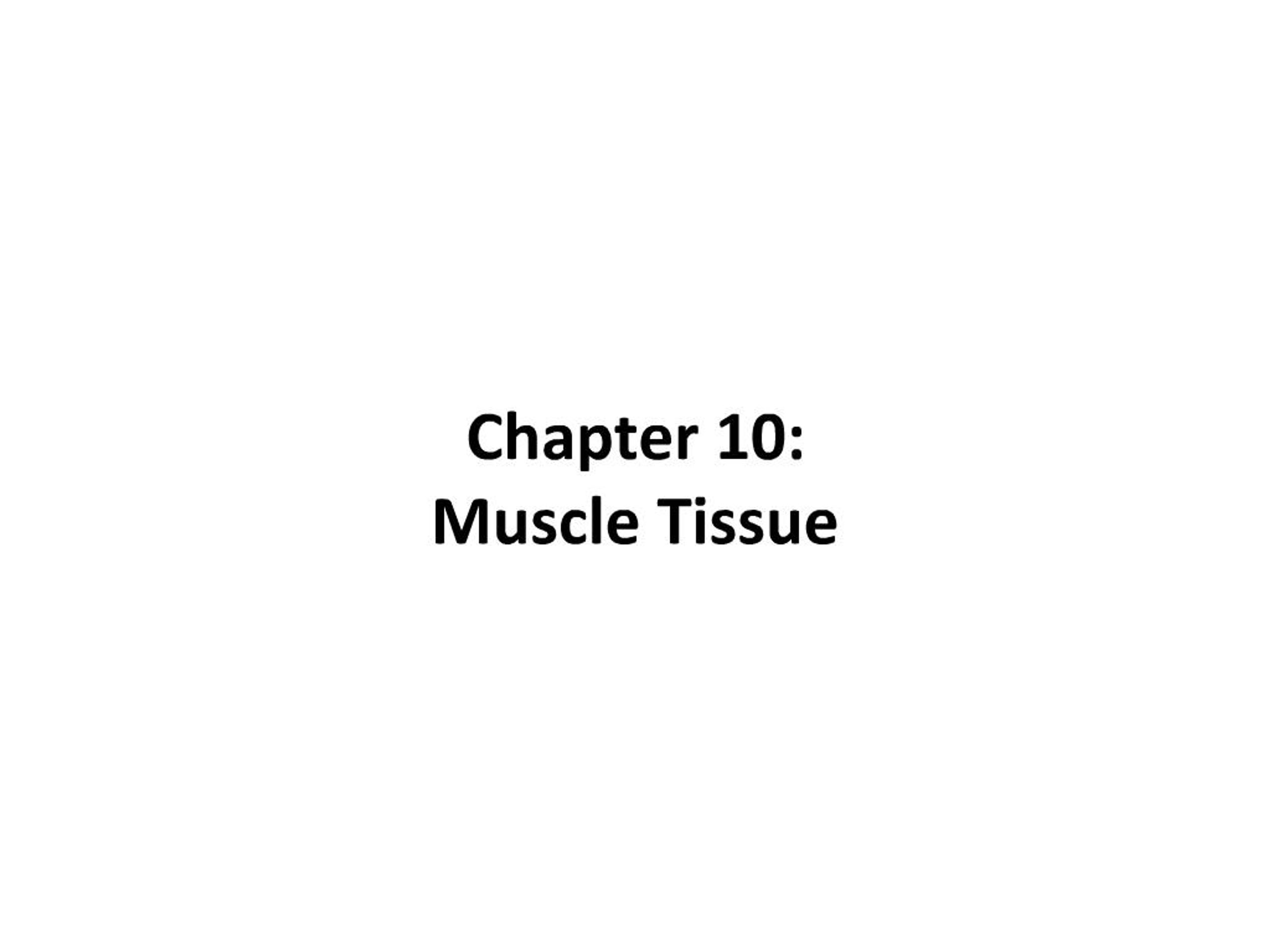 PPT - Chapter 10: Muscle Tissue PowerPoint Presentation, free download ...