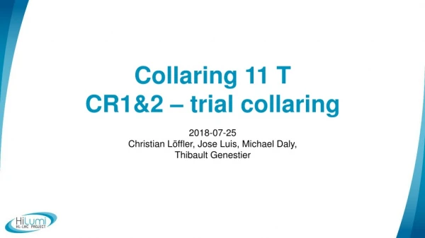 Collaring 11 T CR1&amp;2 – trial collaring