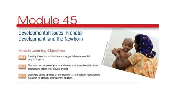 45.1 – Identify three issues that have engaged developmental psychologists .