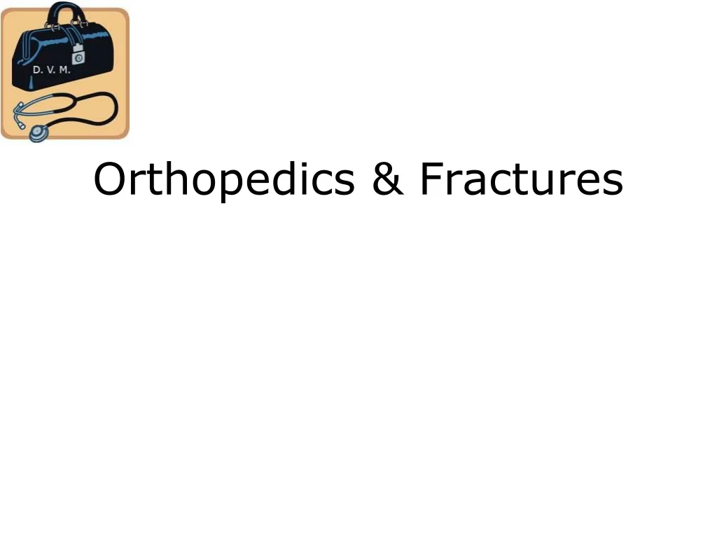 orthopedics fractures