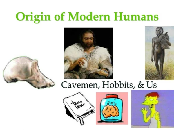 Origin of Modern Humans