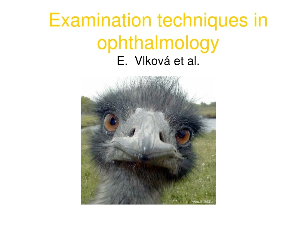 examination techniques in ophthalmology e vlkov et al
