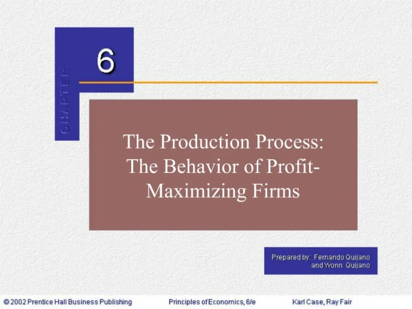 The Production Process: The Behavior of Profit- Maximizing Firms