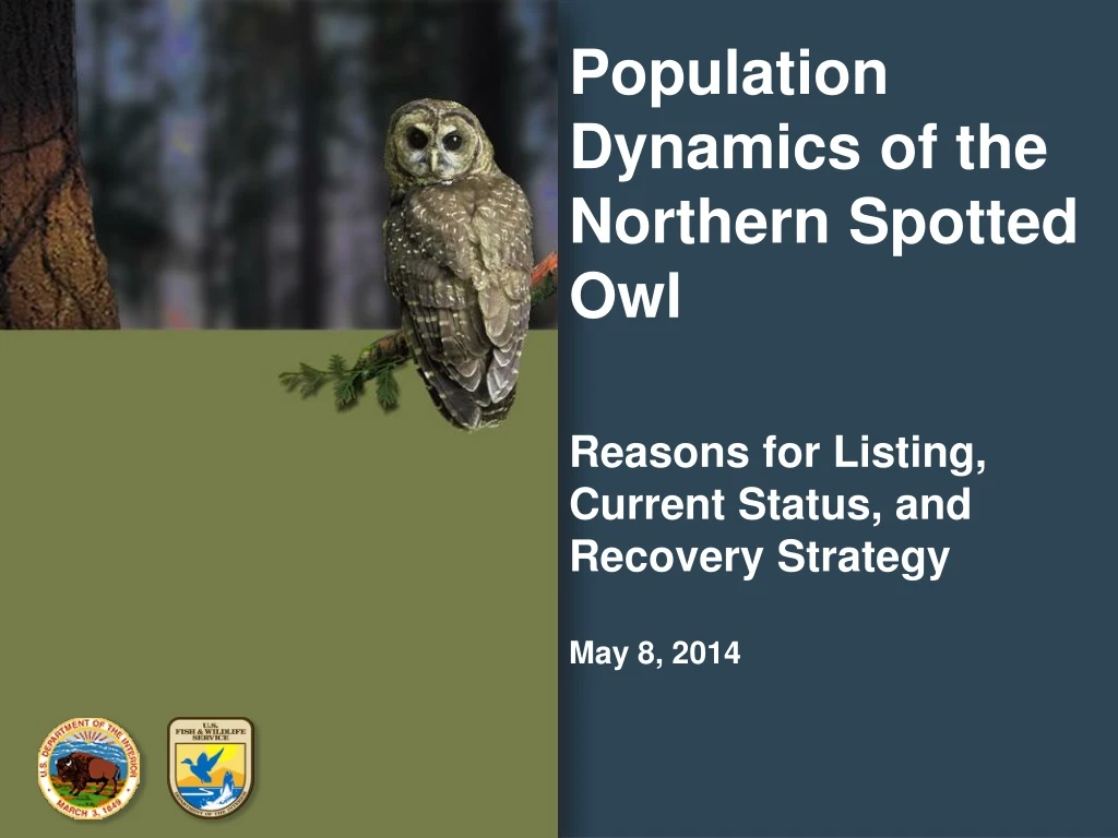 population dynamics of the northern spotted owl