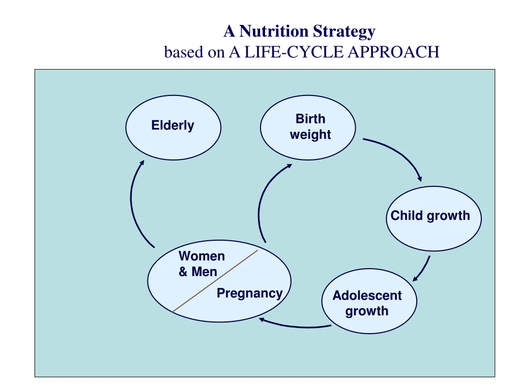 a nutrition strategy based on a life cycle
