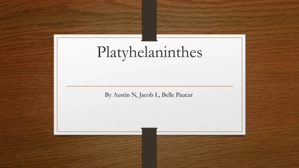 Platyhelaninthes