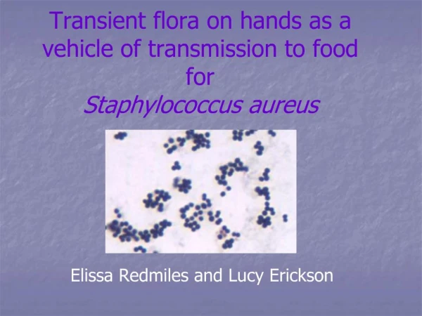 Transient flora on hands as a vehicle of transmission to food for Staphylococcus aureus