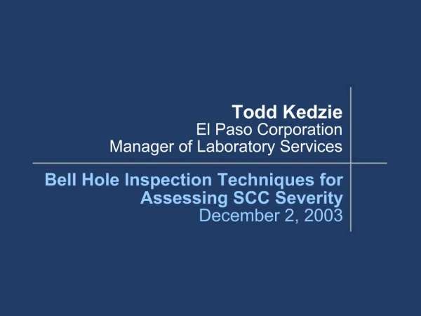 Todd Kedzie El Paso Corporation Manager of Laboratory Services