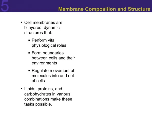 Membrane Composition and Structure