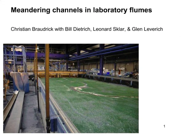 Meandering channels in laboratory flumes Christian Braudrick with Bill Dietrich, Leonard Sklar, Glen Leverich