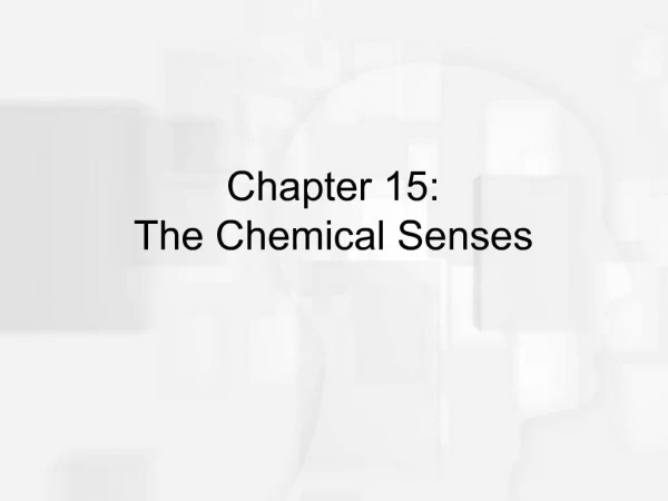 Chapter 15: The Chemical Senses