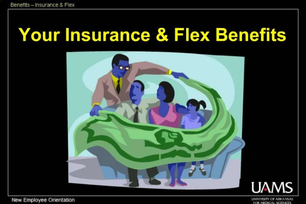 Your Insurance Flex Benefits
