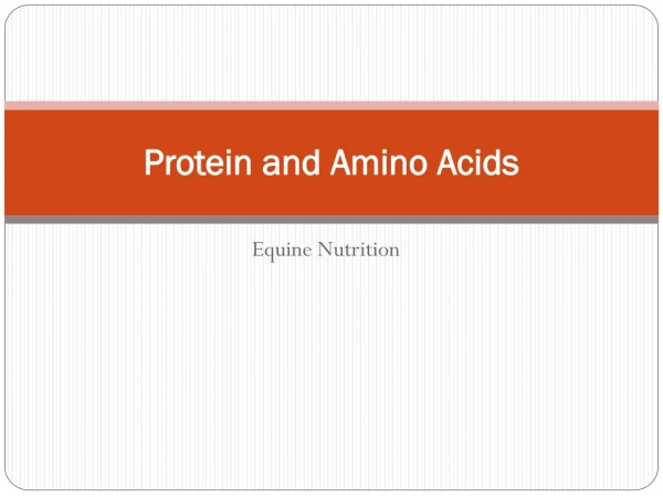 Protein and Amino Acids