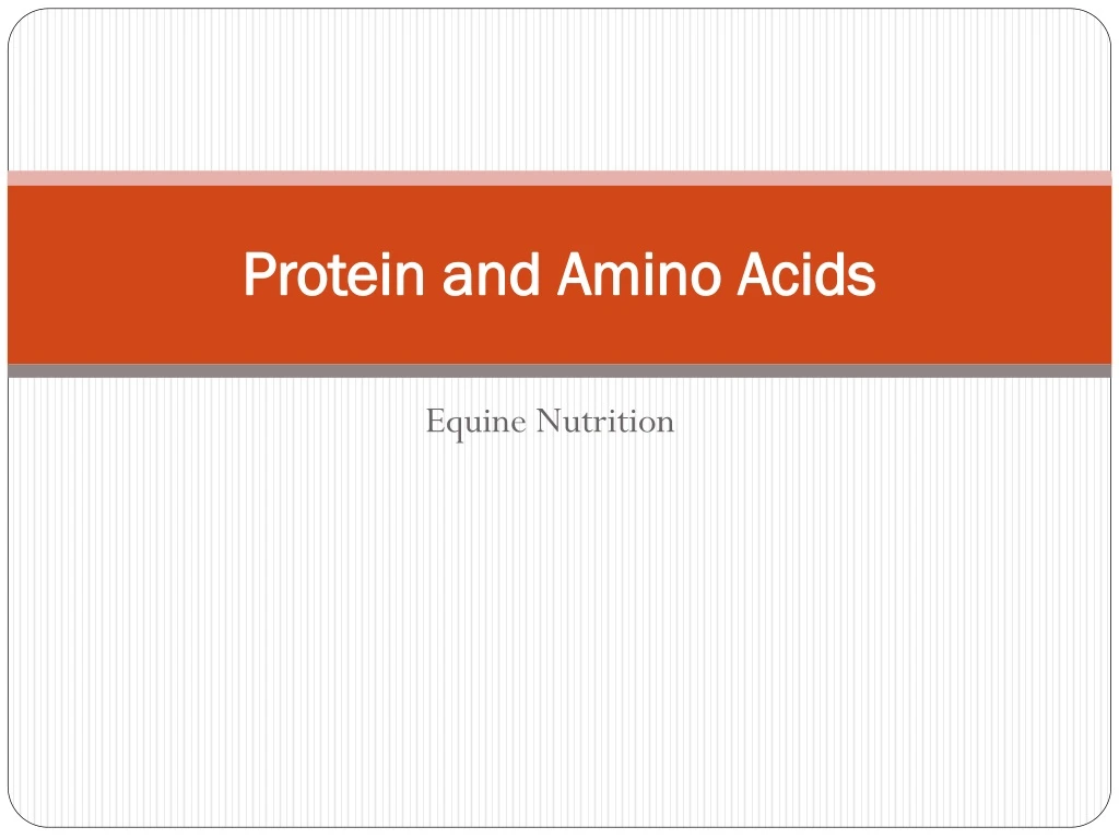 protein and amino acids