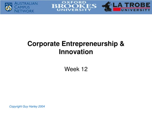 Corporate Entrepreneurship &amp; Innovation